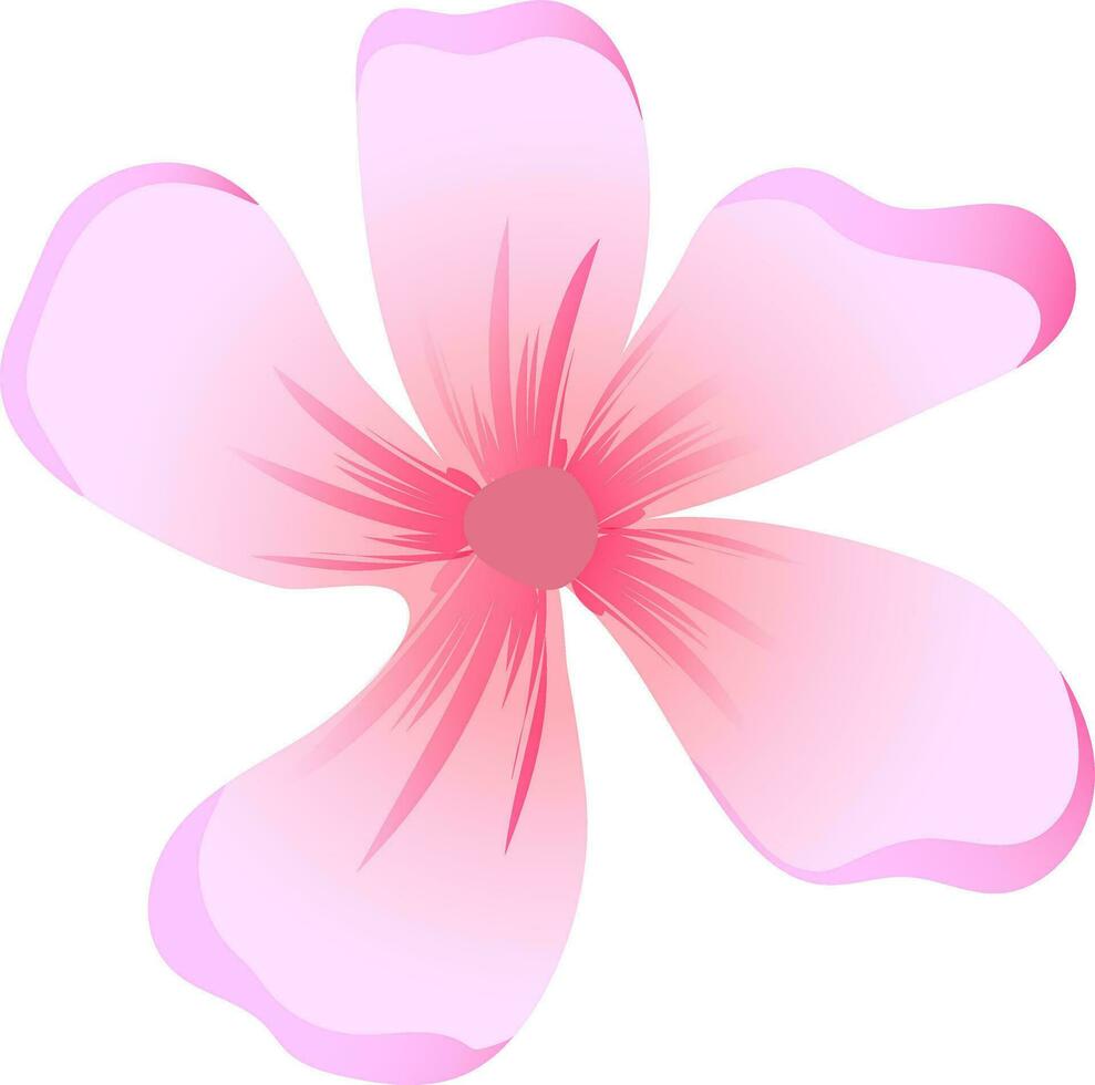 Vector illustration of pink flower on white background. 25014369 Vector