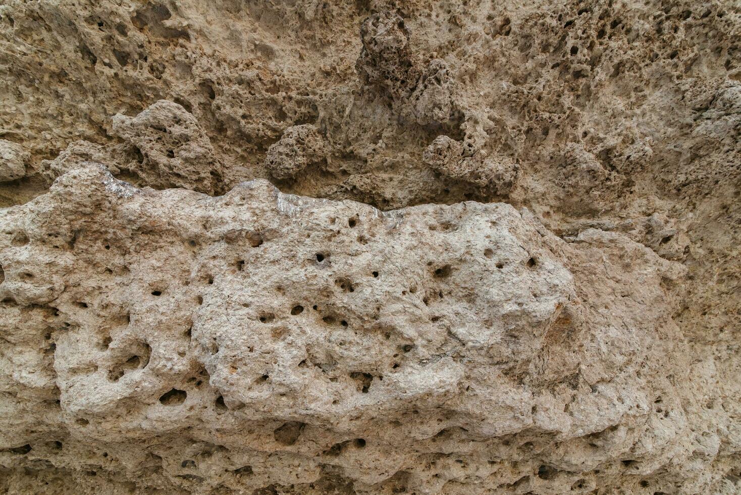 texture of sedimentary limestone rock with shells photo