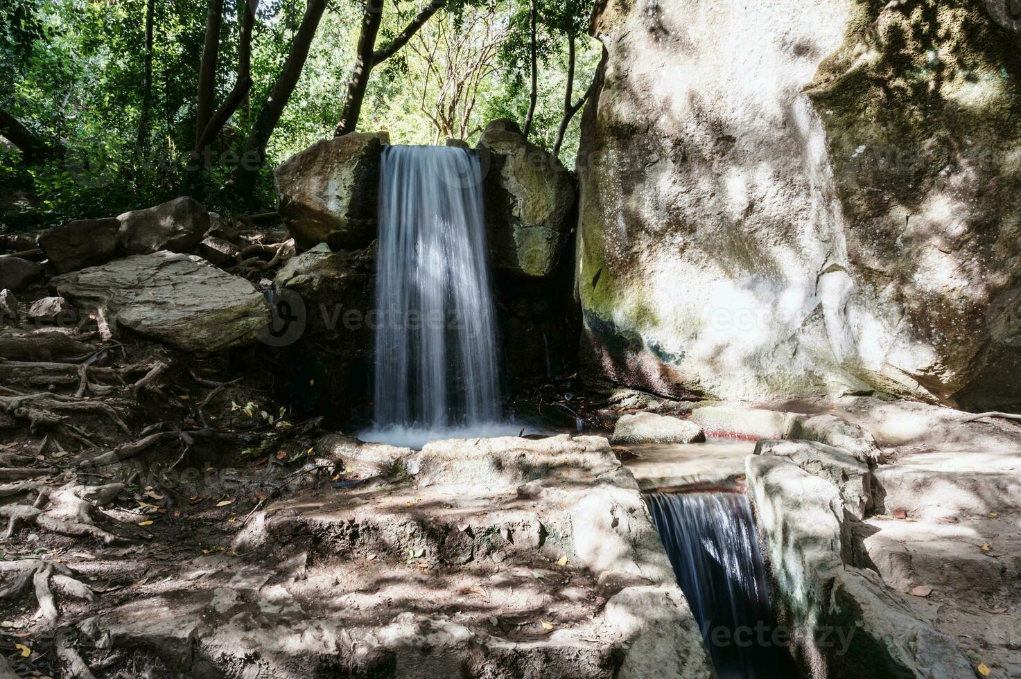 Landscape. A small fast waterfall in the wild picturesque nature. Forest, park photo