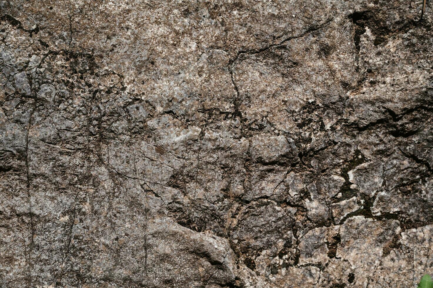 Background with the texture of stone, shell rock or sandstone. To close photo