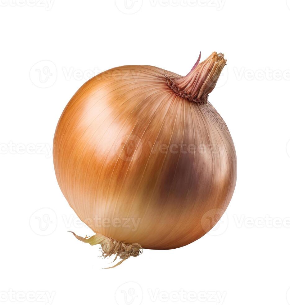 Fresh onion bulb isolated on white background. photo