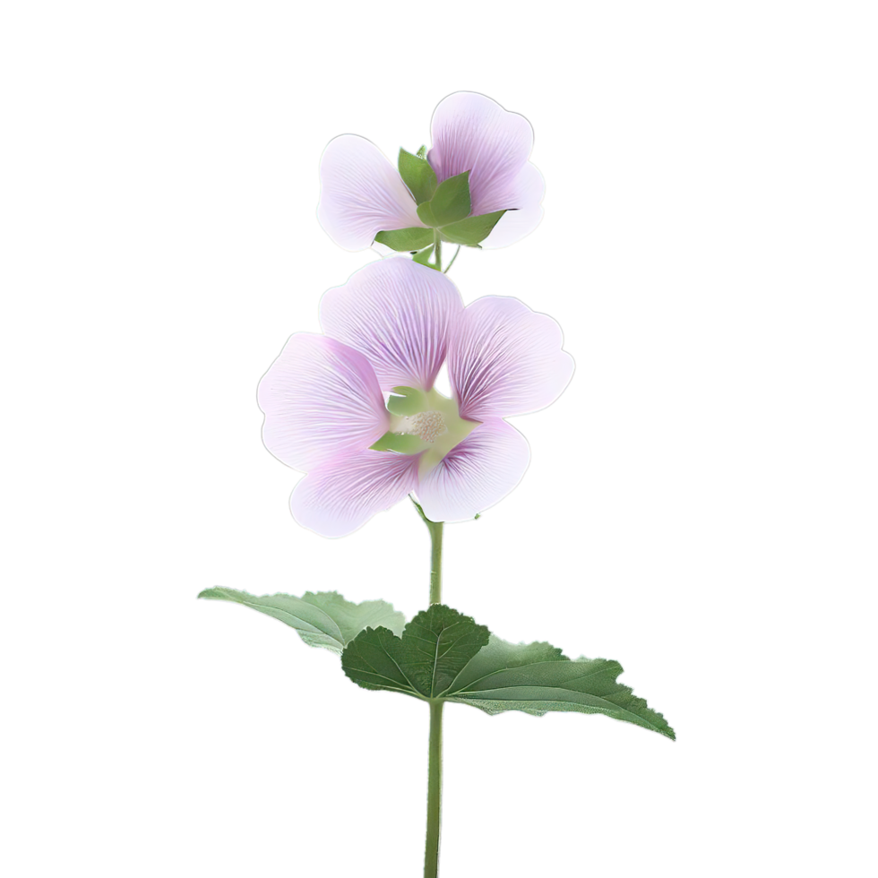isolated flowers and tropical leaves png
