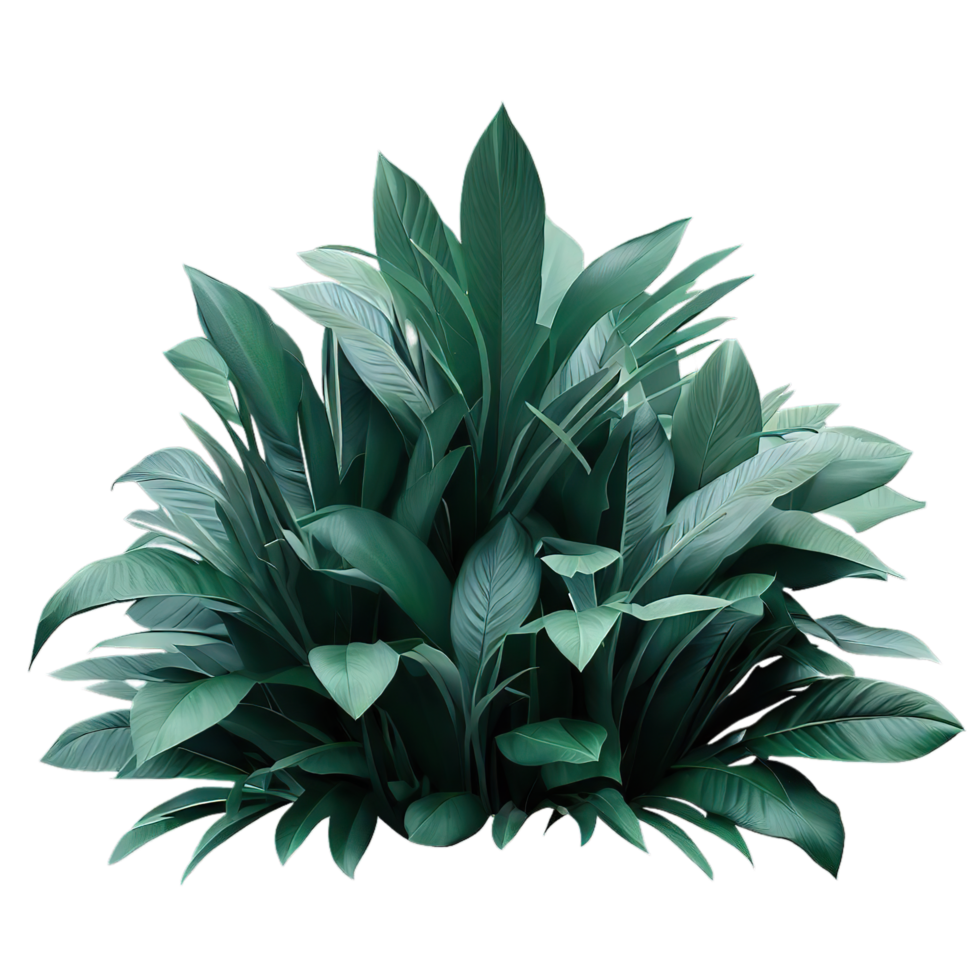 isolated flowers and tropical leaves png