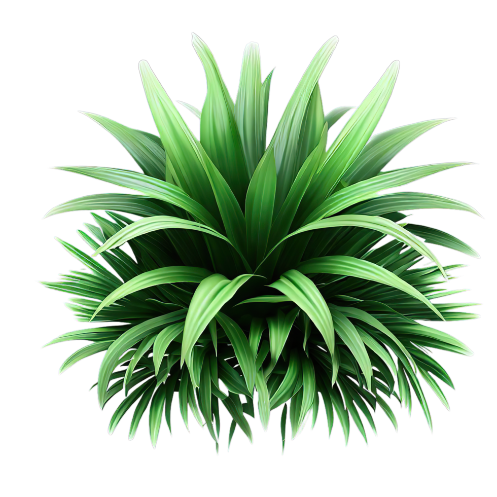 isolated flowers and tropical leaves png