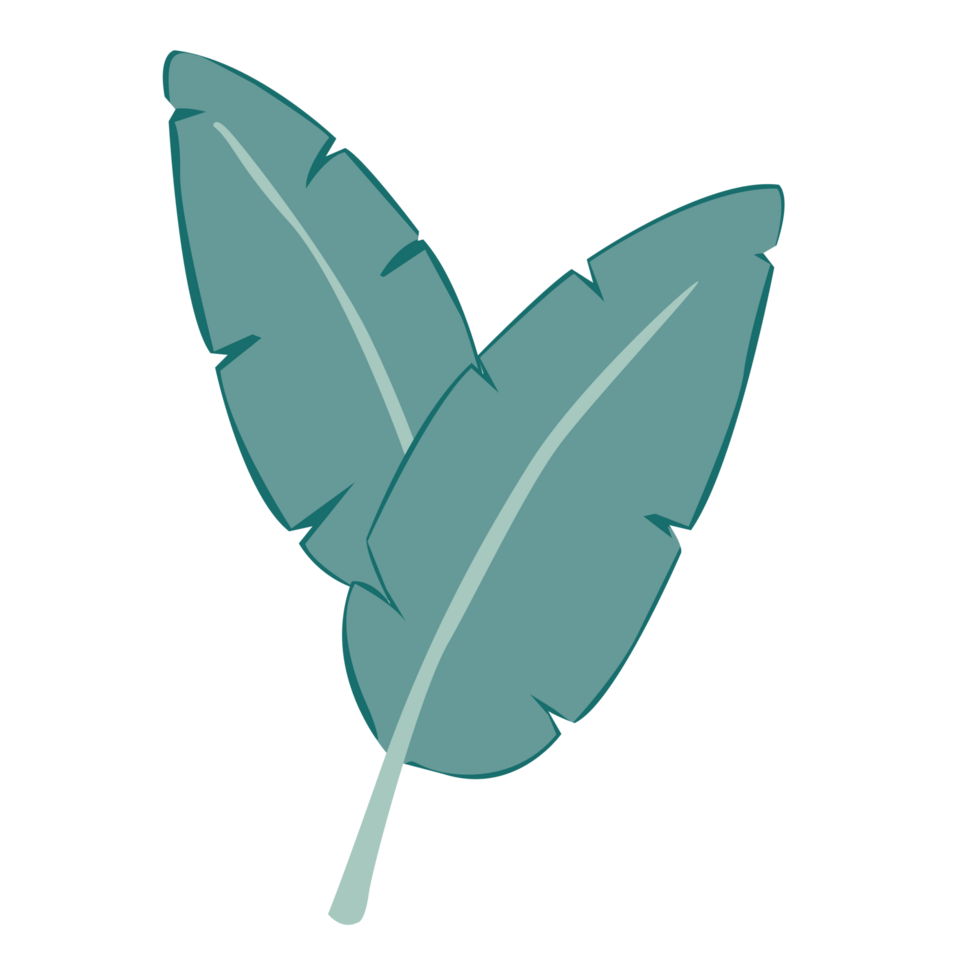 Banana Leaf Illustration png