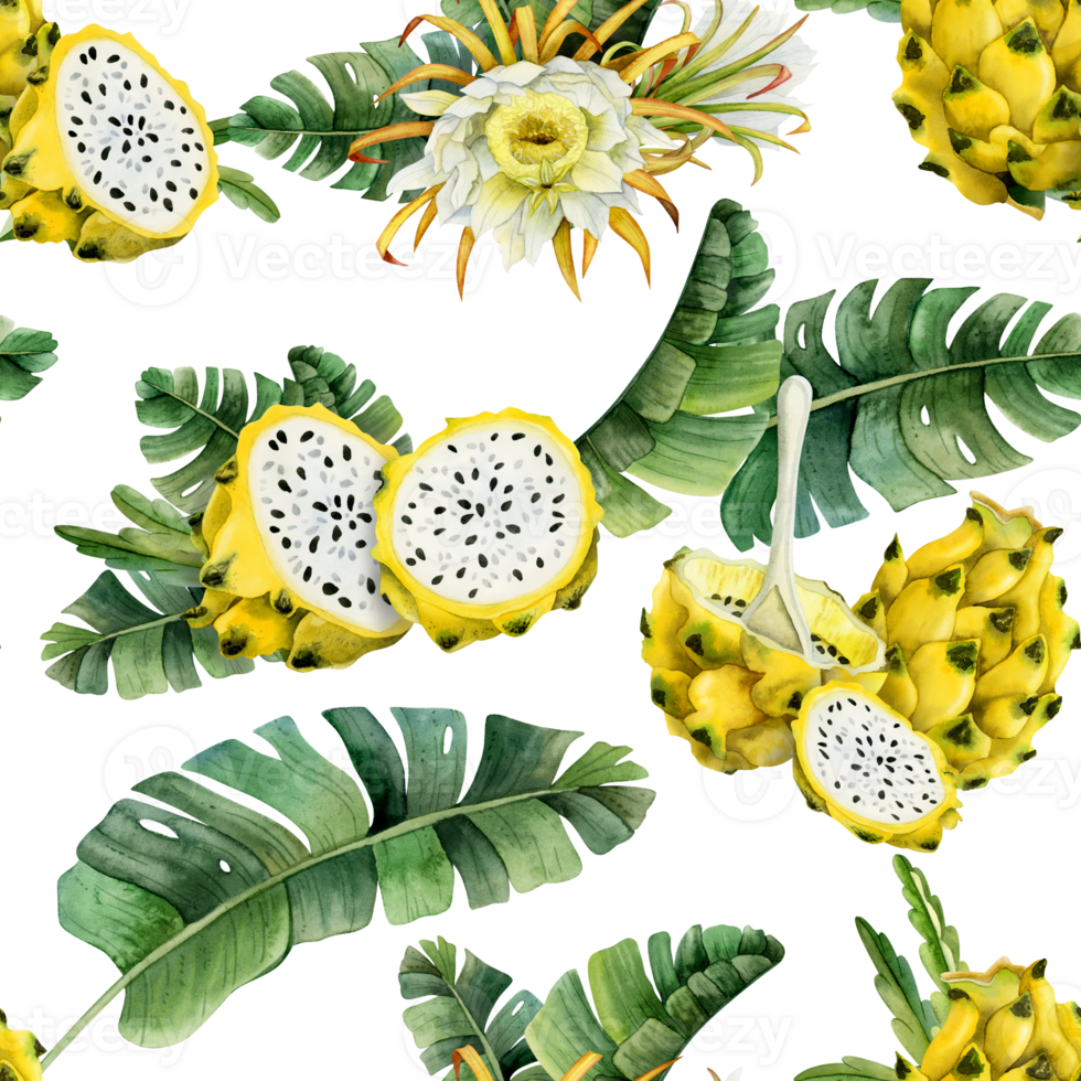 Yellow pitaya dragon fruits slices in tropical leaves seamless pattern. Hand drawn illustration for summer menus, fabrics, tropical and exotic designs png