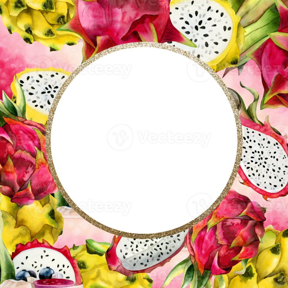 Pitaya square and round frame with pink yellow dragon fruits watercolor template botanical tropical illustration png