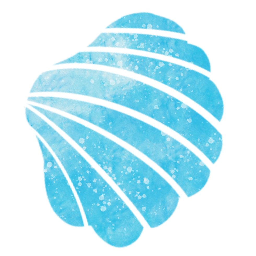 watercolor drawing shells png