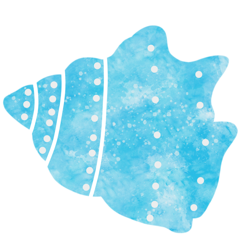 watercolor drawing shells png