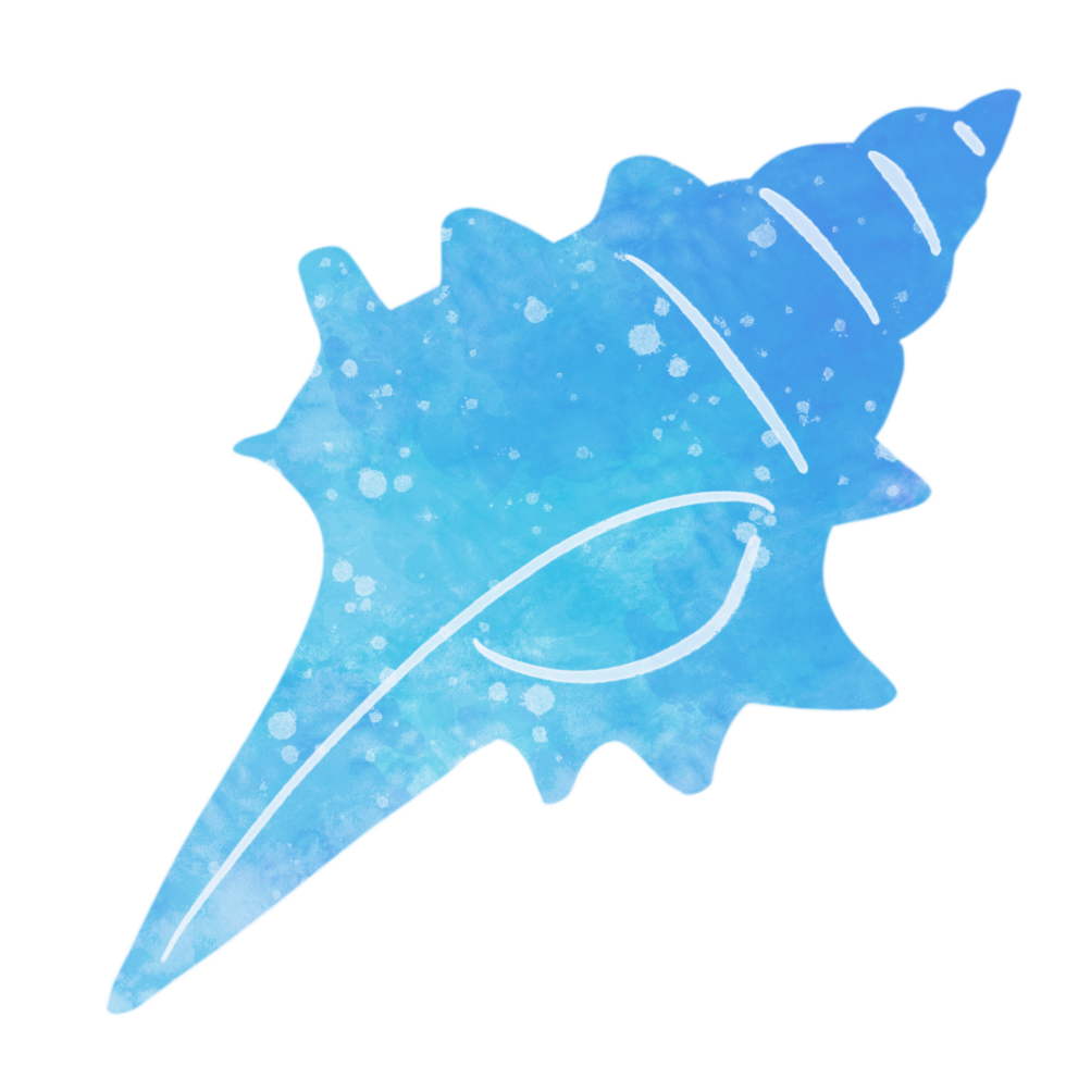 watercolor drawing shells png