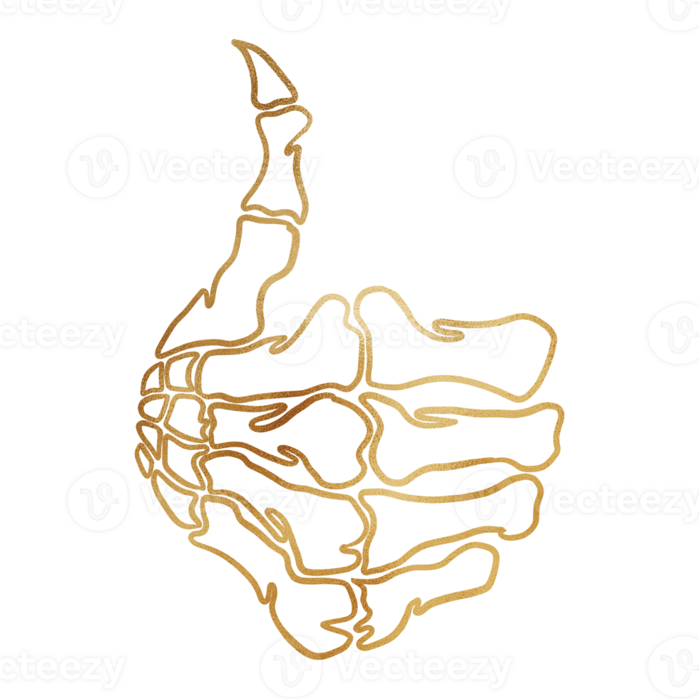 Gold Skeleton Hand With Thumb Up Outline png