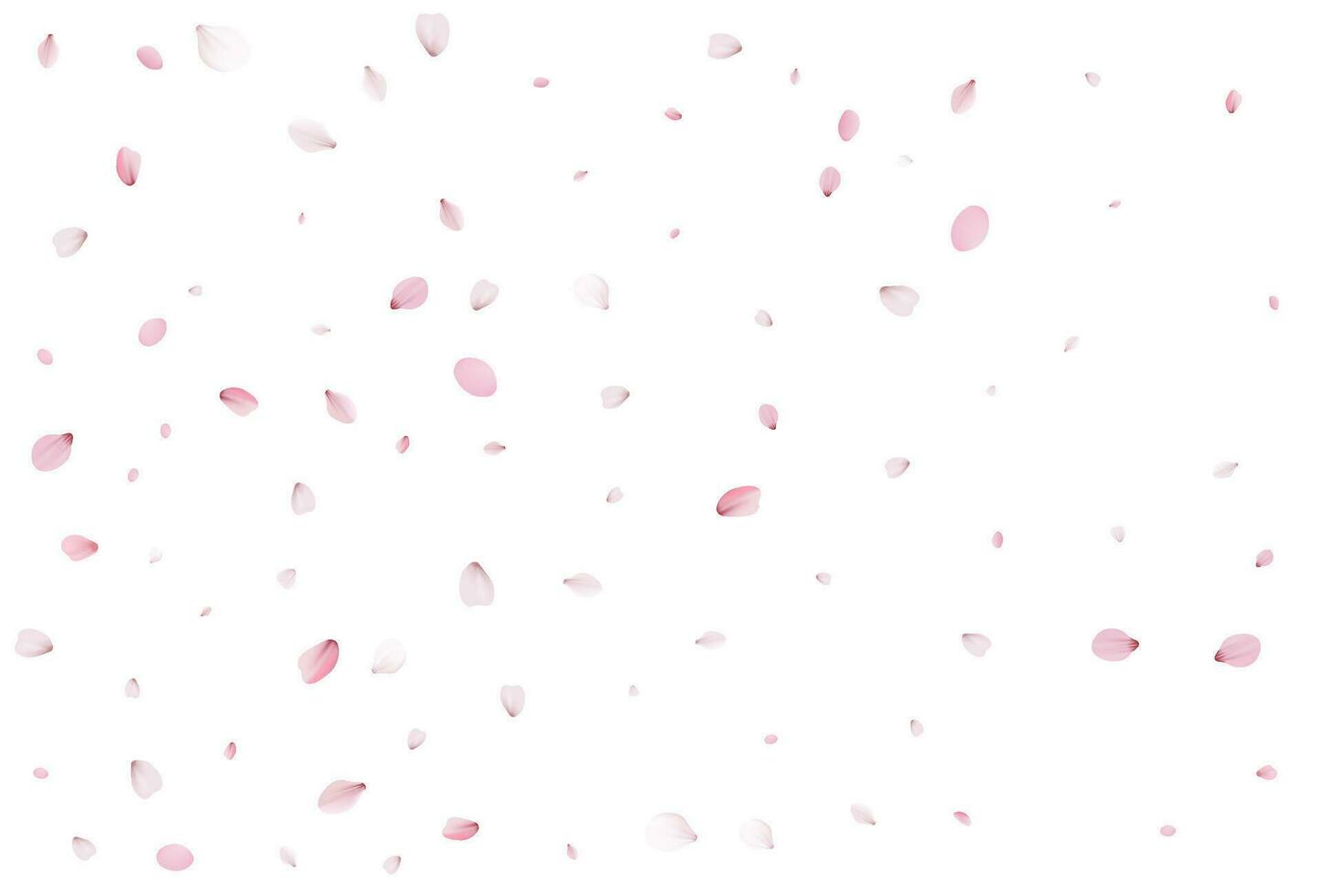 Sakura flying petals, romantic background. vector