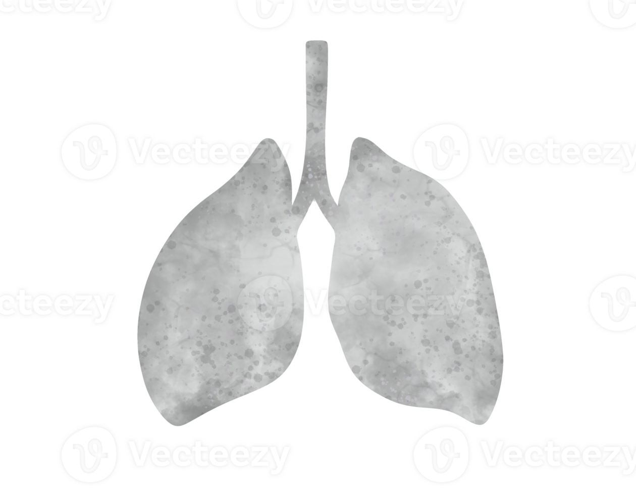 Lung X-ray photo with pneamonia disease on transparency background png