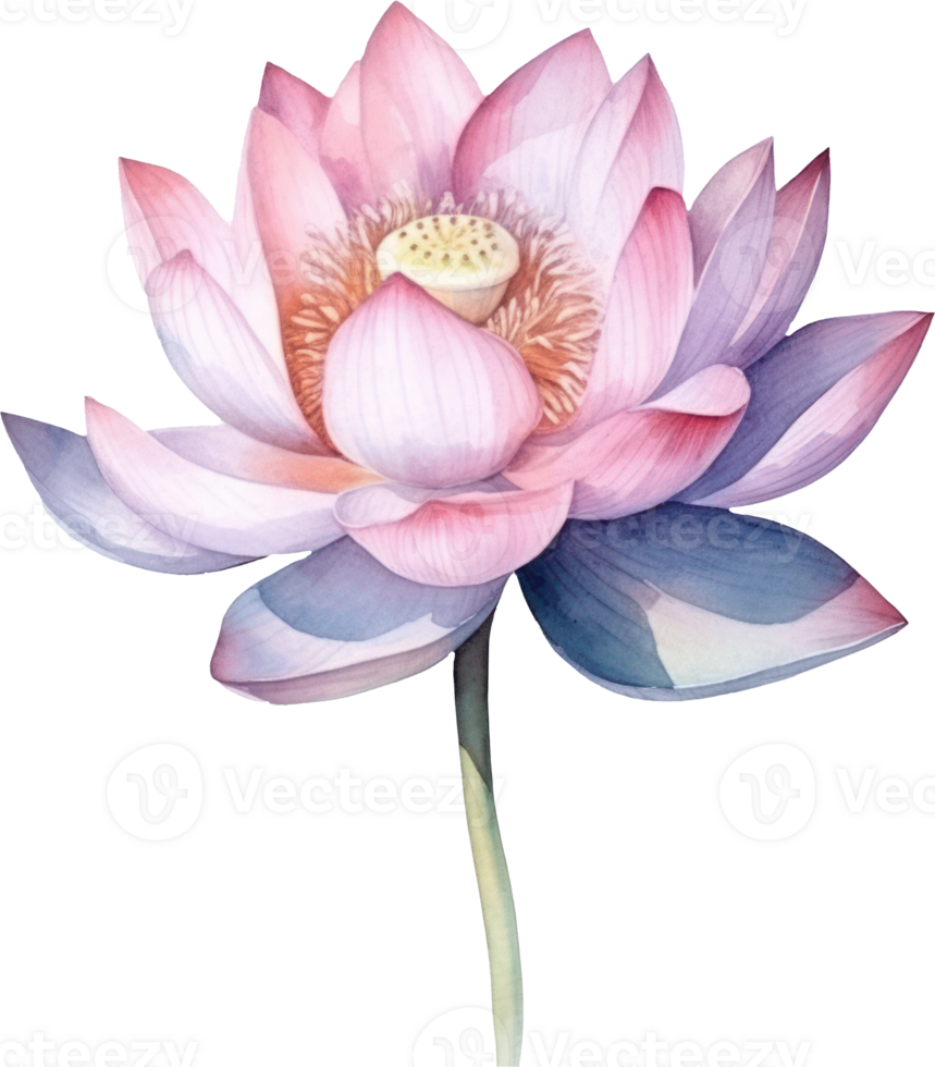 lotus blomma vattenfärg illustration. ai genererad png
