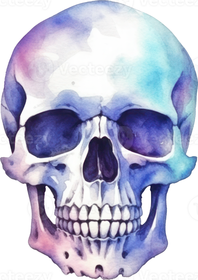 Skull Watercolor Illustration. png