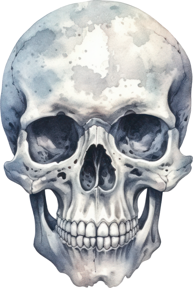 Skull Watercolor Illustration. AI Generated png