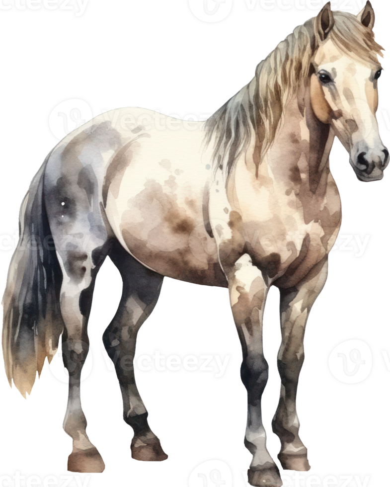 Horse Watercolor Illustration. png