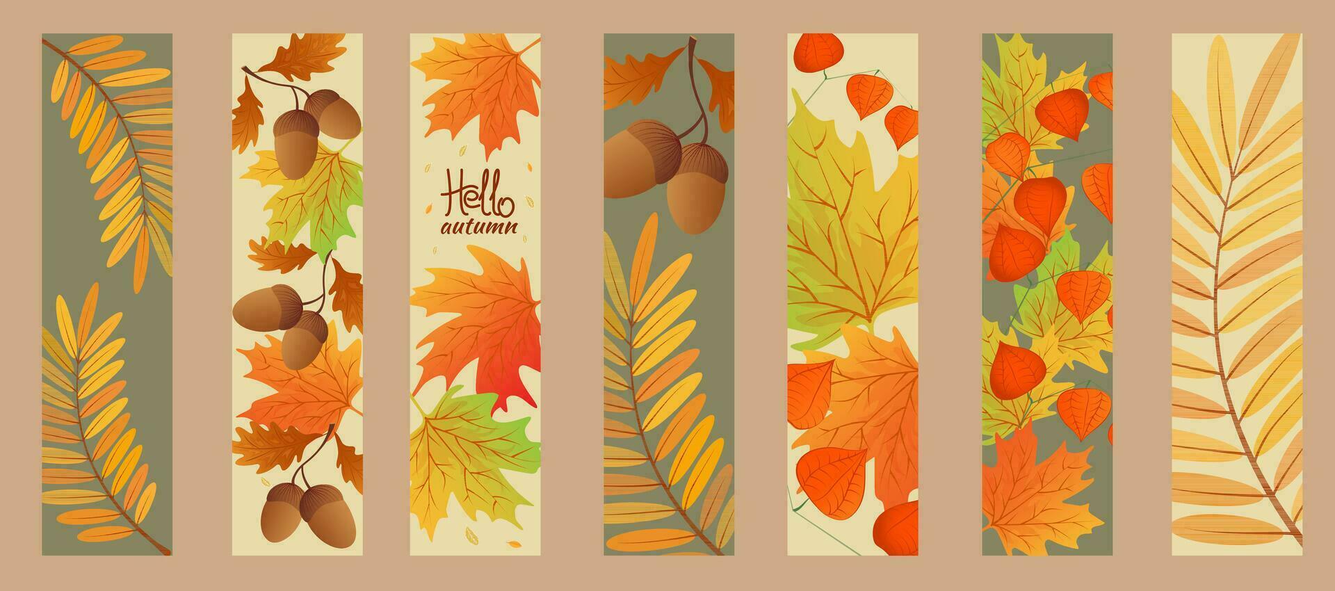 Autumn sale banner. Hello autumn. Set autumn bookmarks. Maple leaves, rowan leaves with branch of physalis, oak leaf,acorns. vector