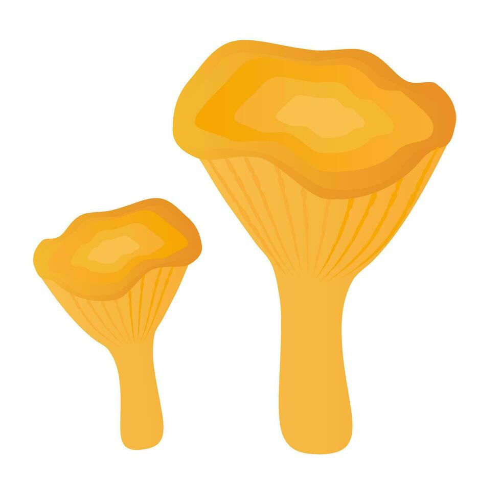 Mushroom chanterelle. Element for design isolated on white background. vector
