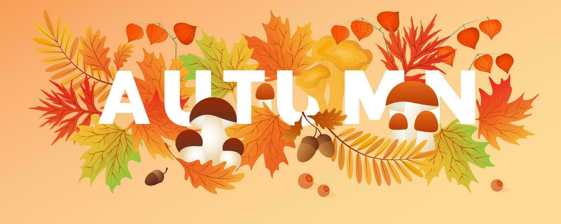 Hello autumn. Autumn leaves with mushrooms, cep, physalis. Sale banners, postcard, poster. vector