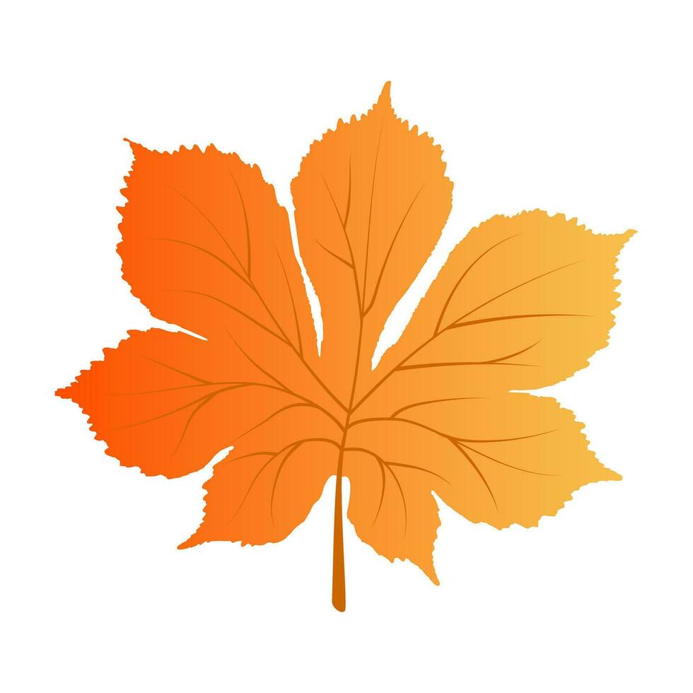 Autumn  Element for design isolated on white background. vector