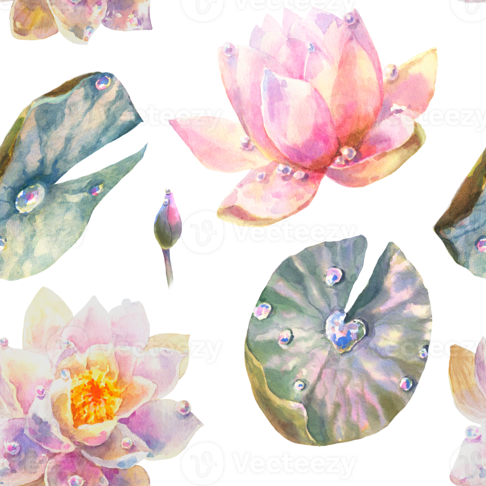 Watercolor Seamless Pattern with Romantic flowers of water lily. Cute illustration for wallpaper, textile or wrapping paper. png