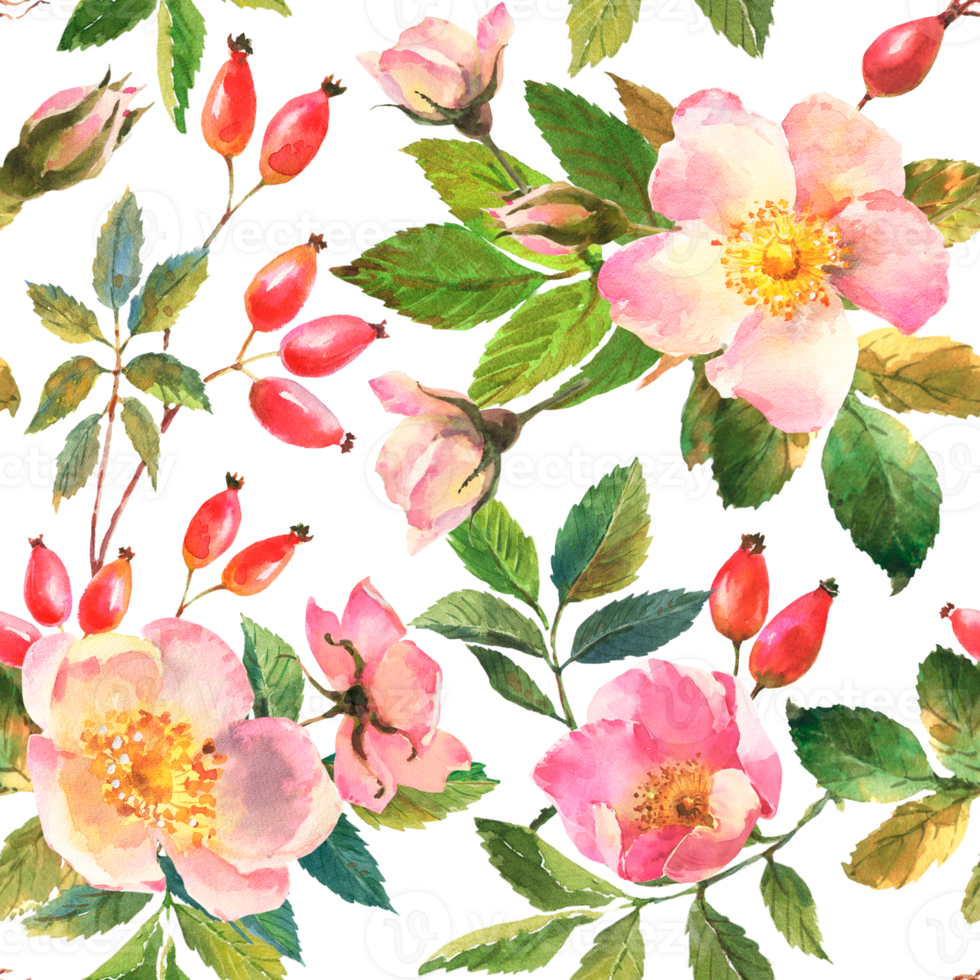 Watercolor illustration. Seamless pattern of rose hips flowers, leaves, berries on a  transparent background. Seamless design of ripe rose hips for fabric, paper, printing, etc. png