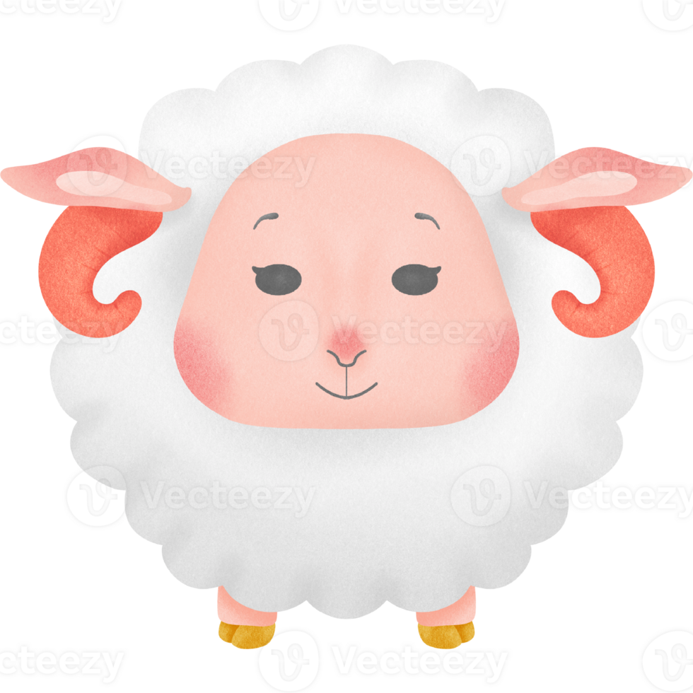 Little white lamb png