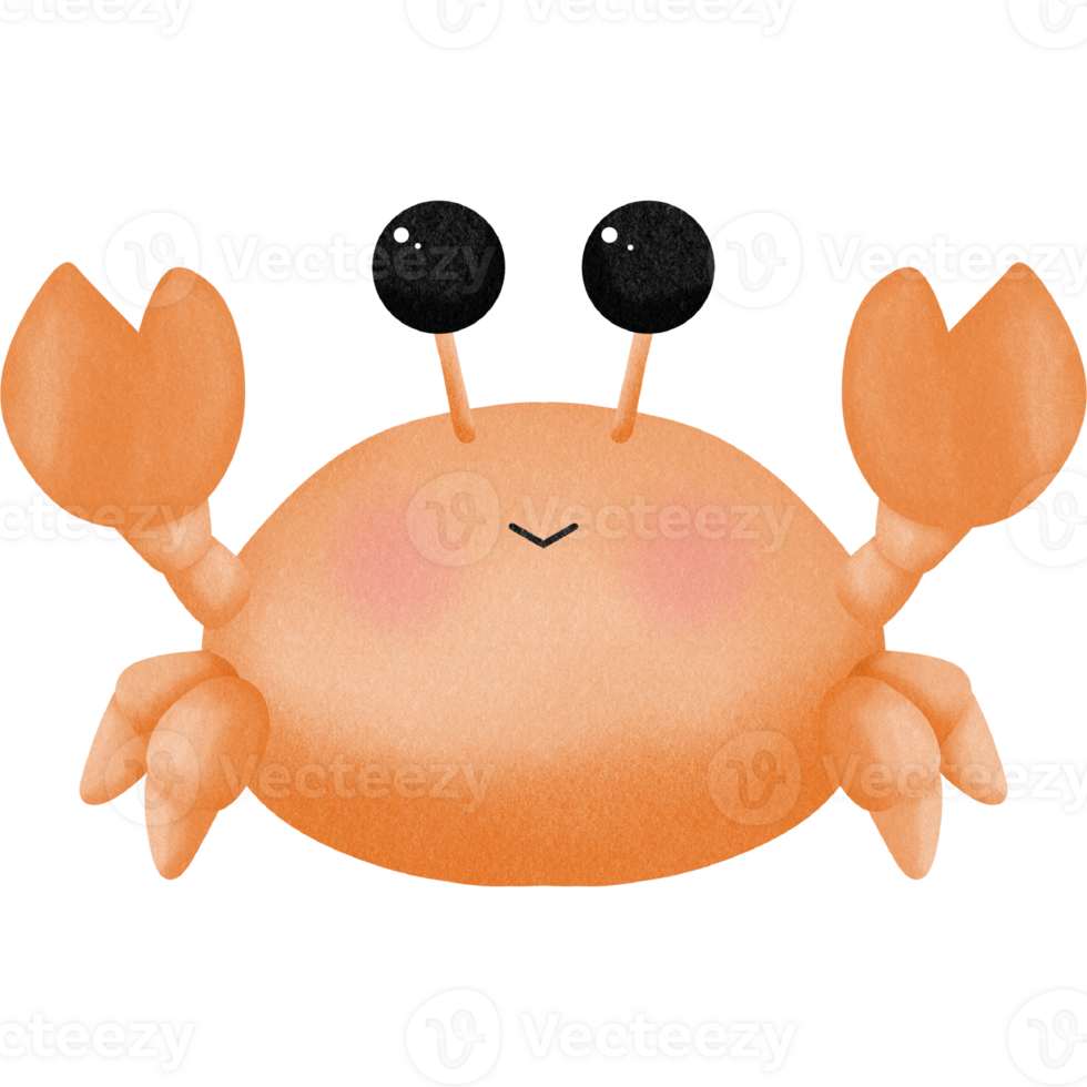 Paper texture Lovely sea creature png