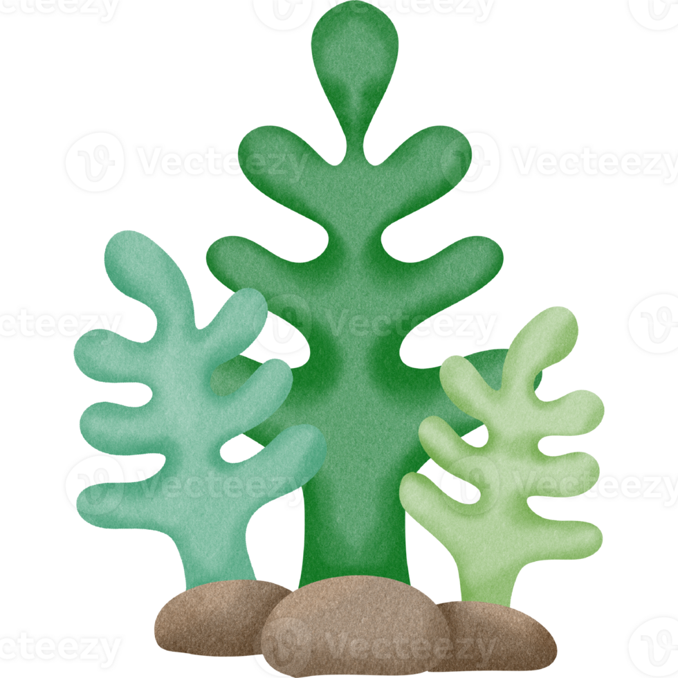 Lovely sea creature png