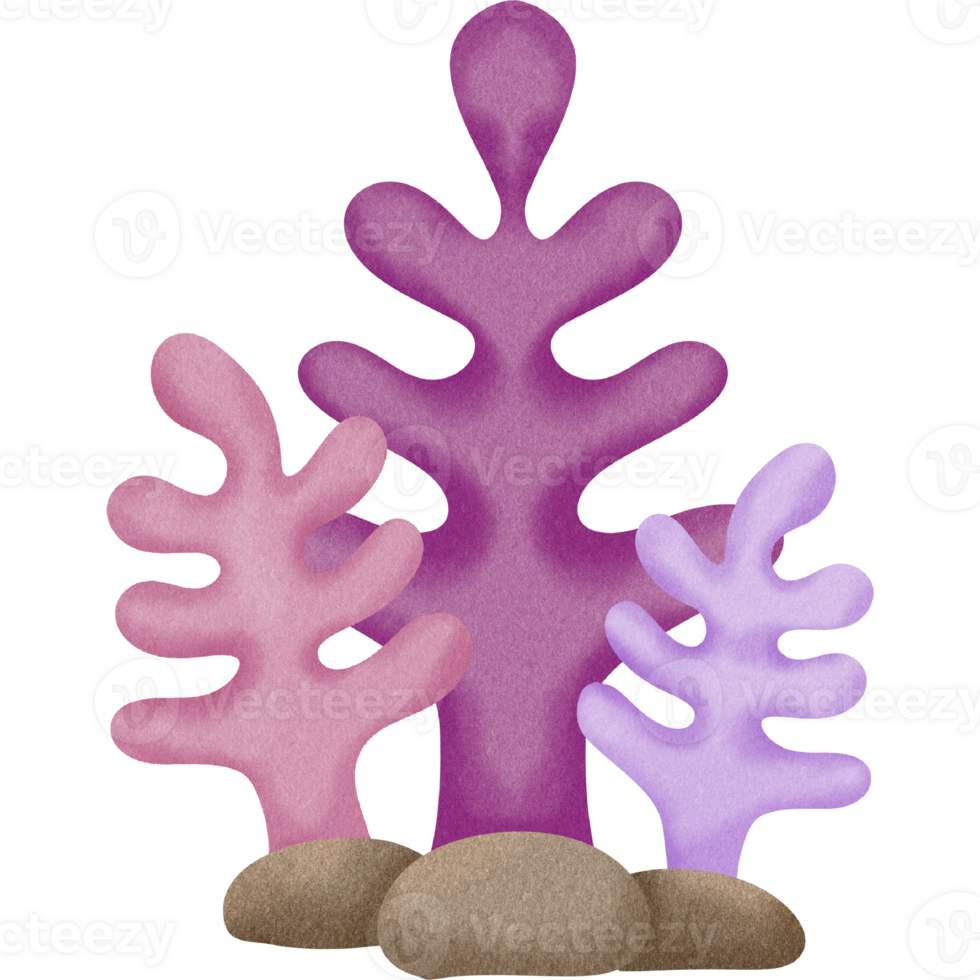 Lovely sea creature png