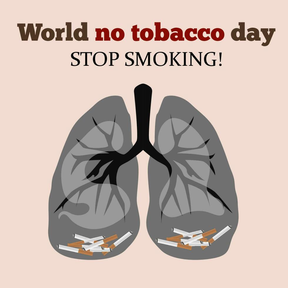 World no Tobacco Day poster, stop addiction, smoking quitting. Cigarettes awareness banner with healthy and diseased lungs vector background. Harmful habit.