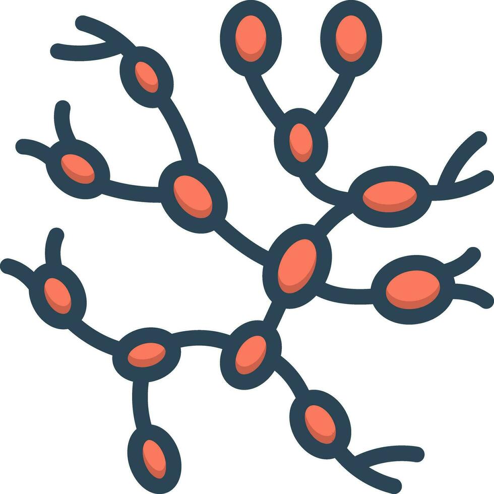 color icon for lymph nodes vector