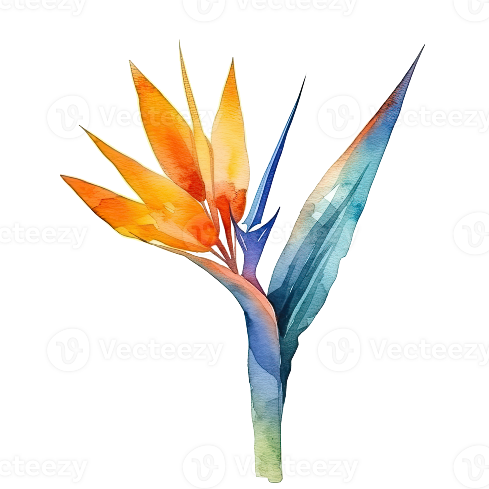 schattig waterverf strelitzia bloem. illustratie generatief ai png