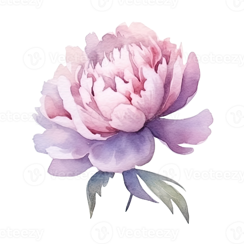 Cute watercolor peony flower. Illustration AI Generative png