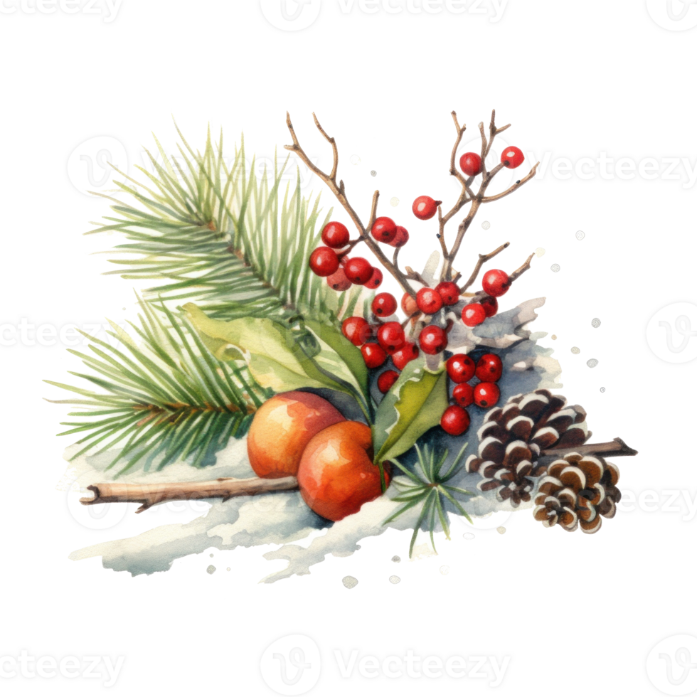 Christmas composition watercolor. Illustration png