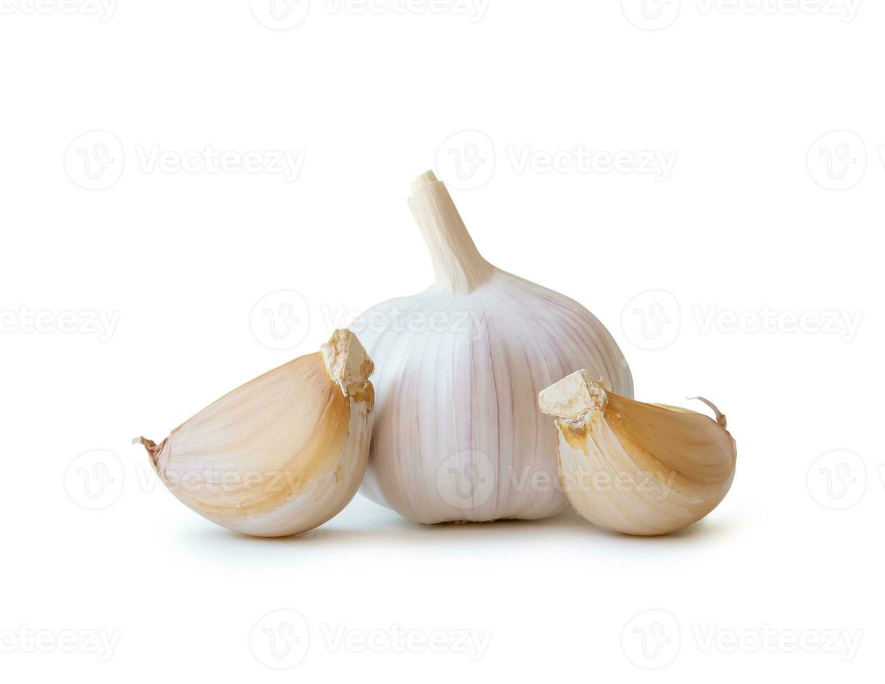 Single fresh white garlic bulb with segments isolated on white background with clipping path, Thai herb is great for healing several severe diseases, heart attack, Hyperlipidemia photo