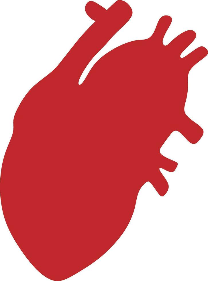 Flat illustation of human heart. vector