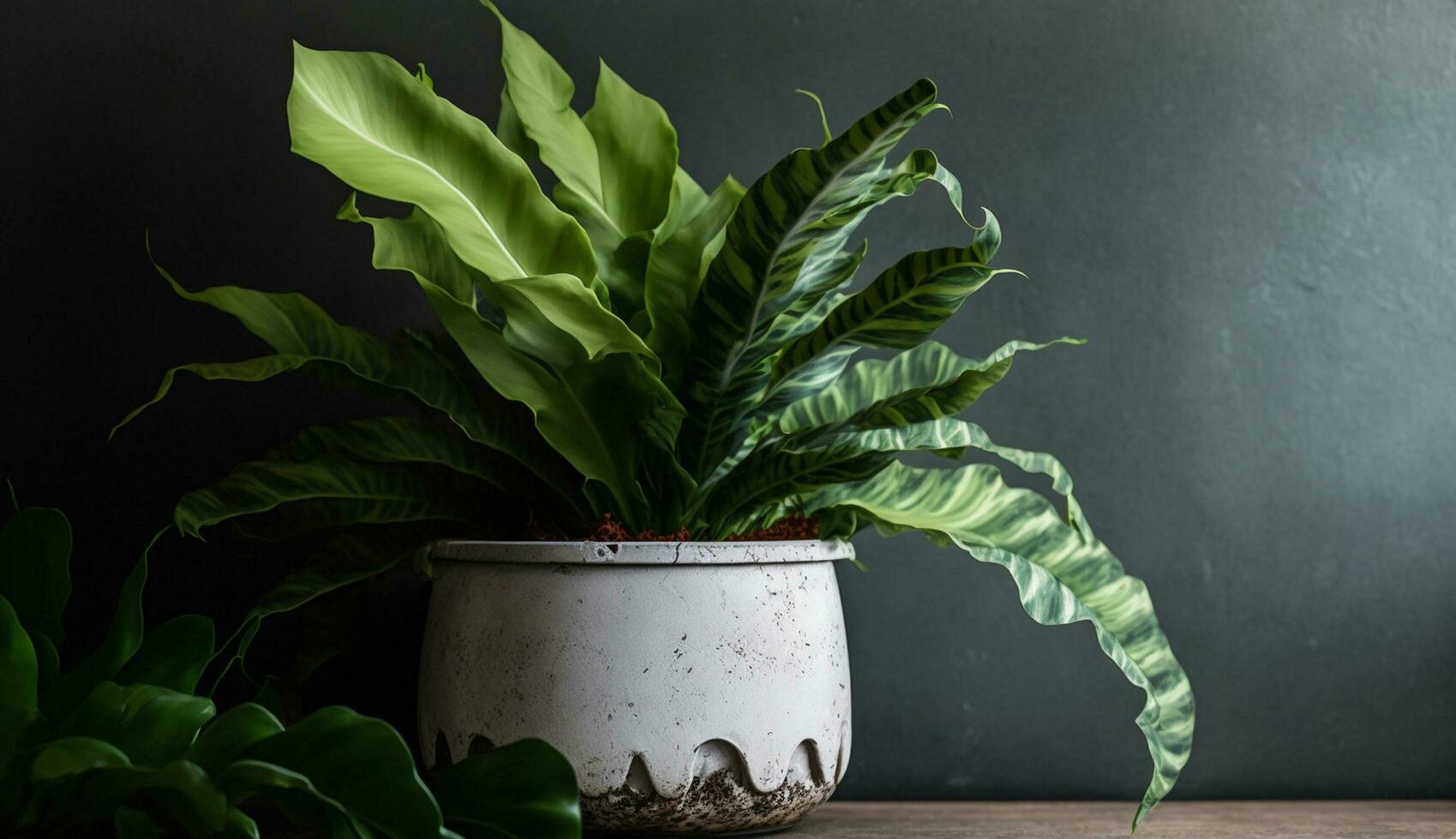 Nature Growth Displayed Through Fresh Greenery Indoors generated by AI photo