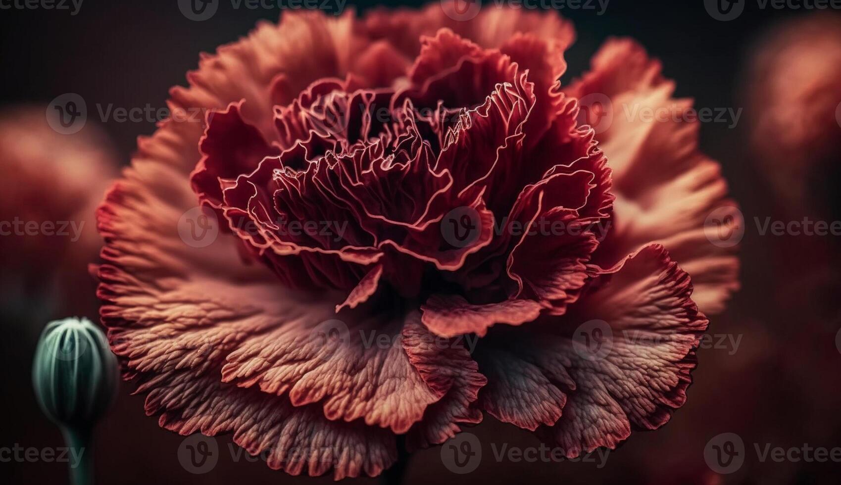 Nature beauty in a macro flower close up generated by AI photo