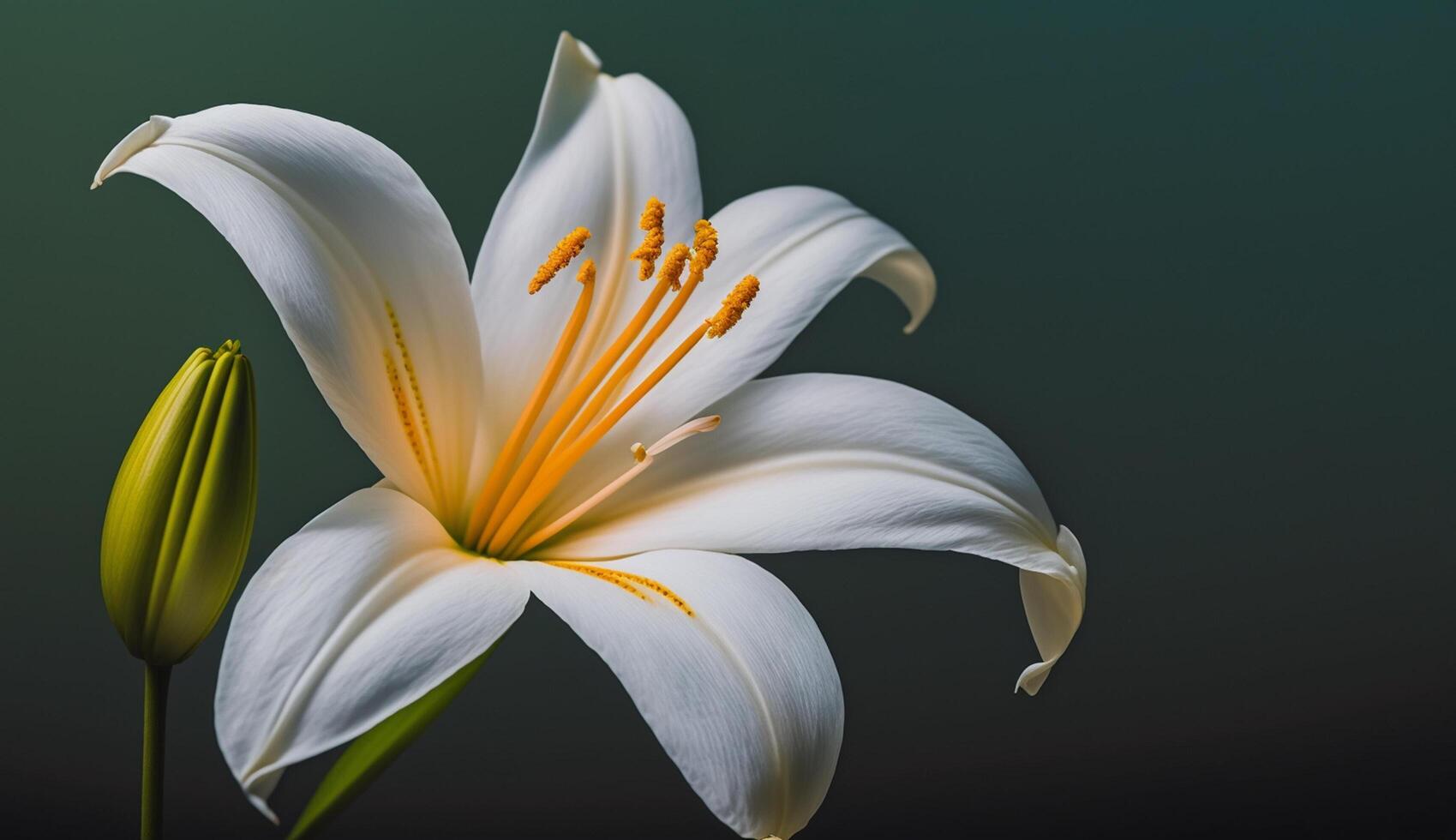 Nature elegance captured yellow petals green leaves generated by AI photo