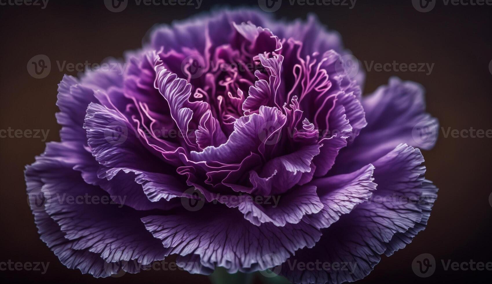 Close up of a purple flower fresh petal generated by AI photo