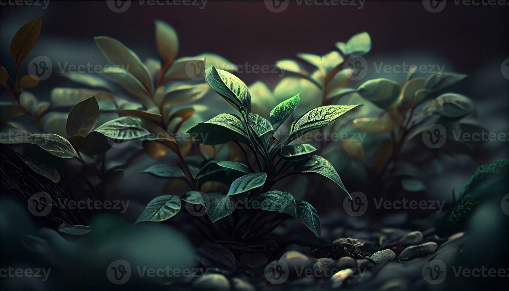 Green plant growth on a vibrant backgrounds ,generative AI photo