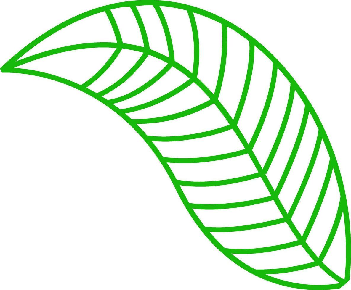 Illustration of green leaf. vector