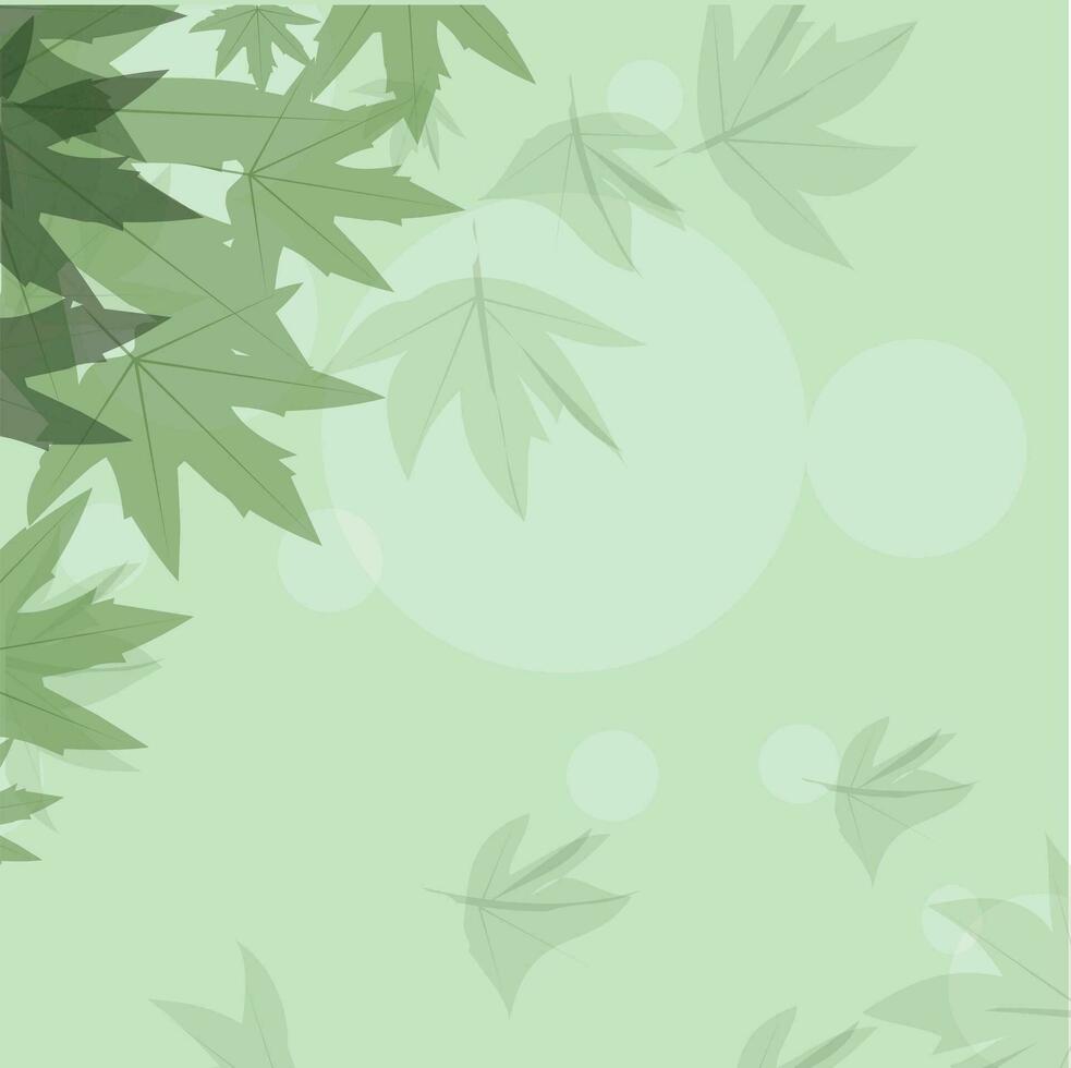 Abstract green maple leaves on background. vector