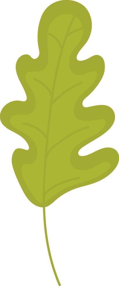 Illustration of green oak leaves. vector