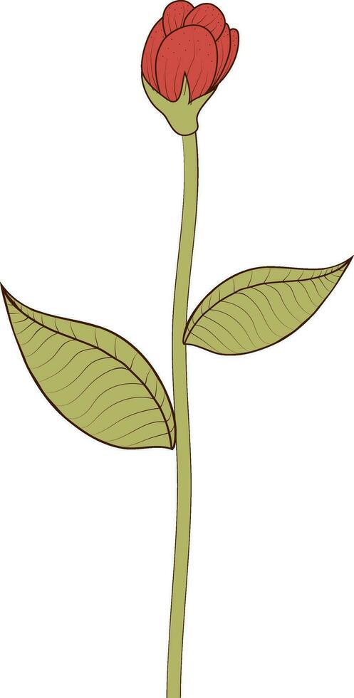Isolated illustration of flower bud. vector