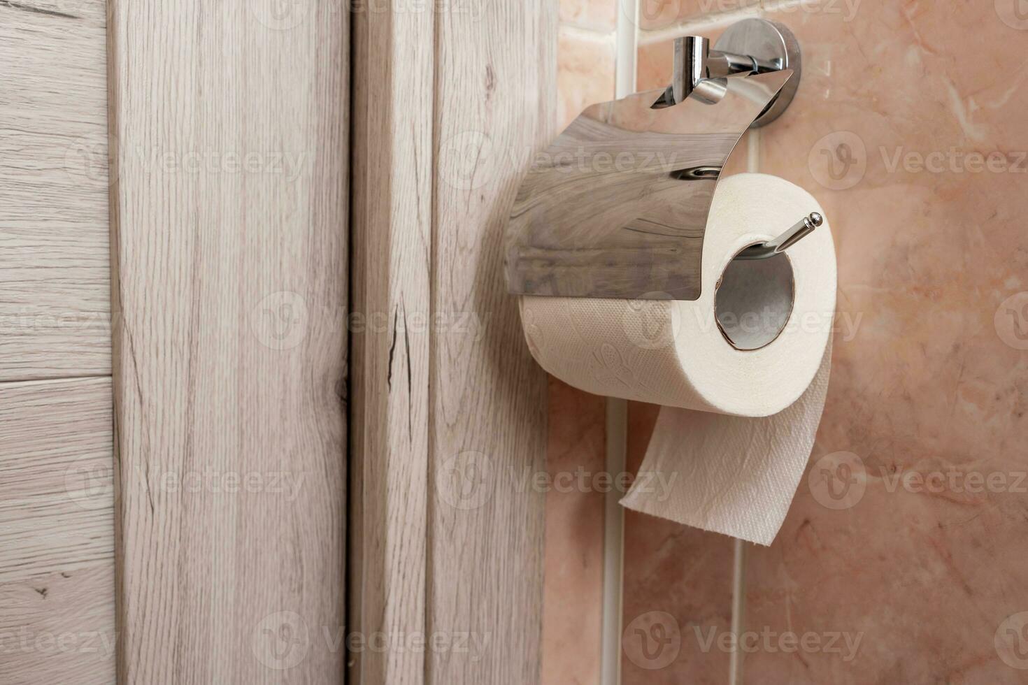 a roll of toilet paper hanging in a holder in the toilet photo