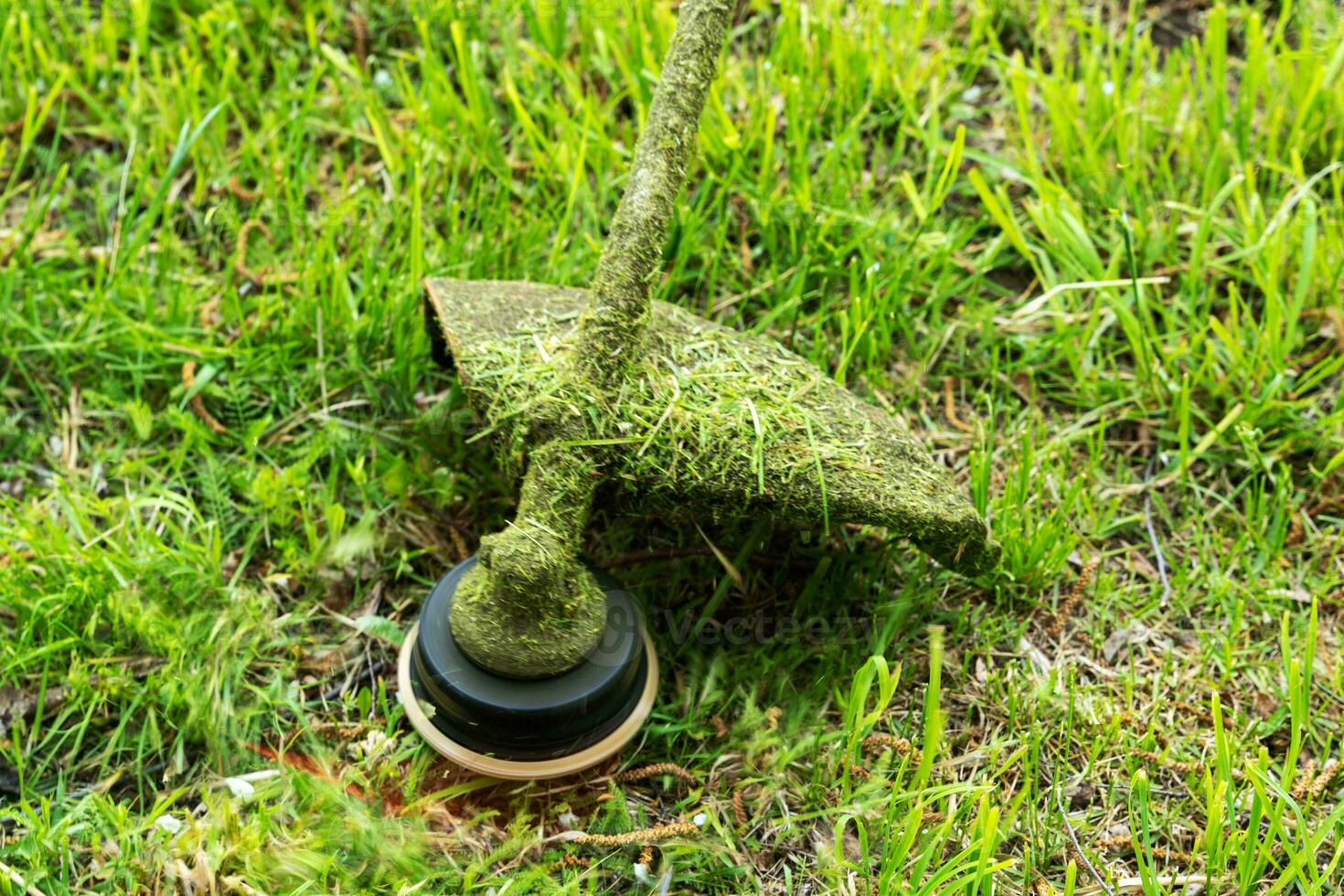 close-up of a grass trimmer during mowing. Landscaping concept photo