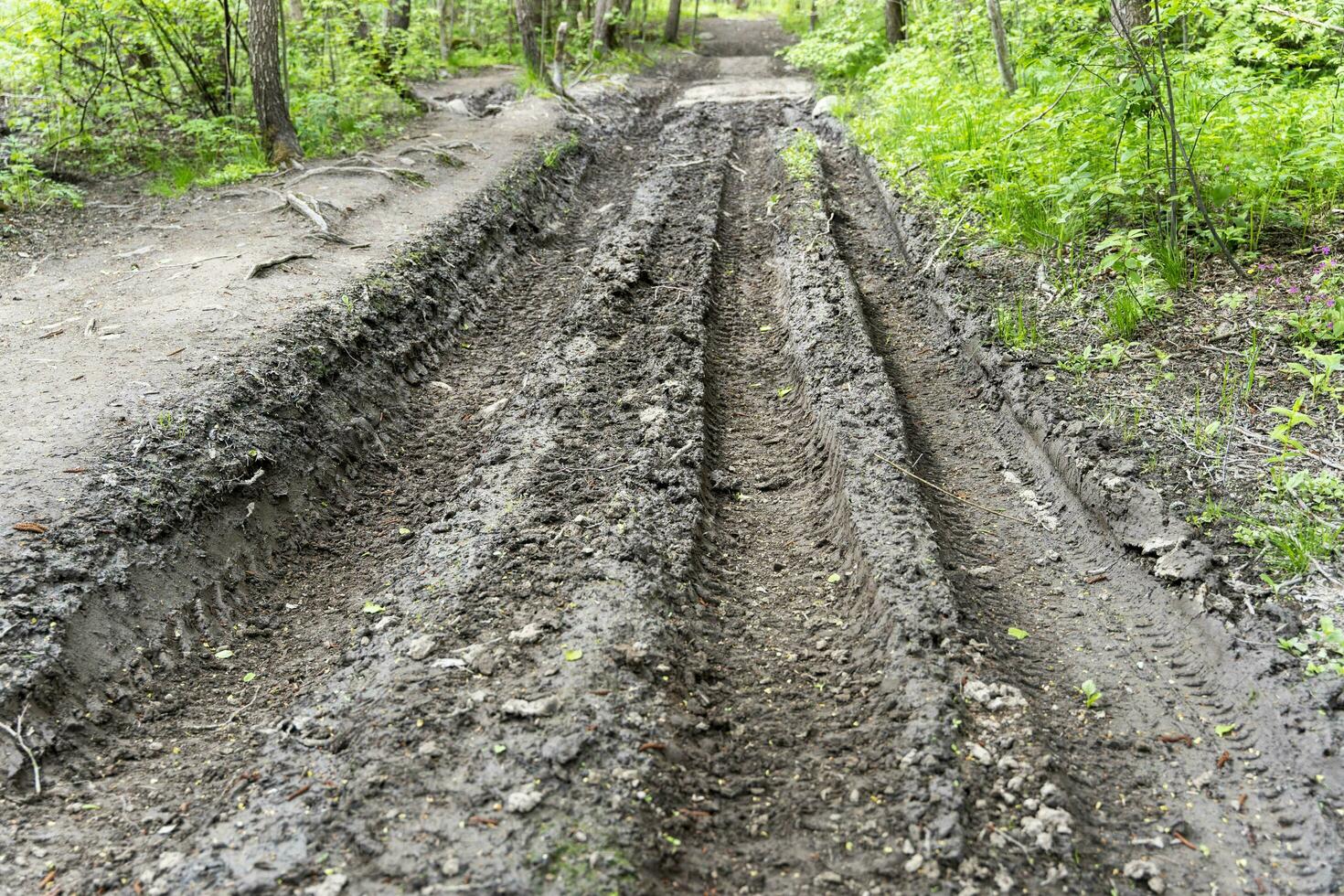 impassable forest road, muddy after rains, with traces of truck tires photo
